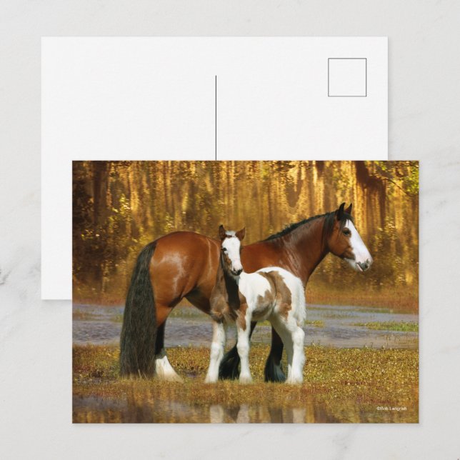 Carte Postale Bob Langrish | Gypsy Vanner Mare and Foal Fantasy (Devant / Derrière)