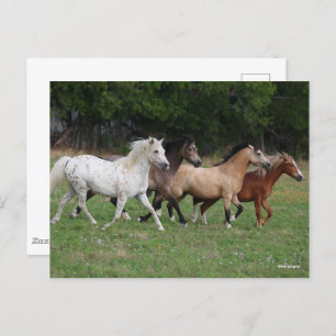 Carte Postale Bob Langrish   Quatre Poney Courant Ensemble