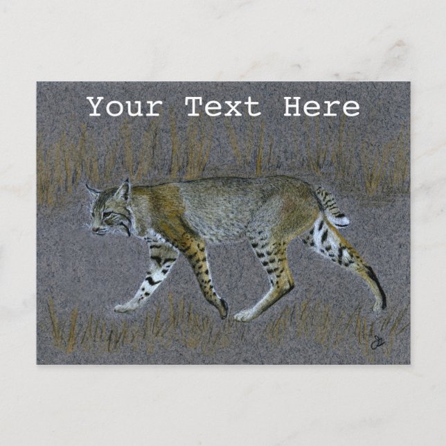 Carte Postale Bobcat (Devant)