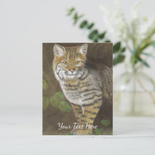 Carte Postale Bobcat