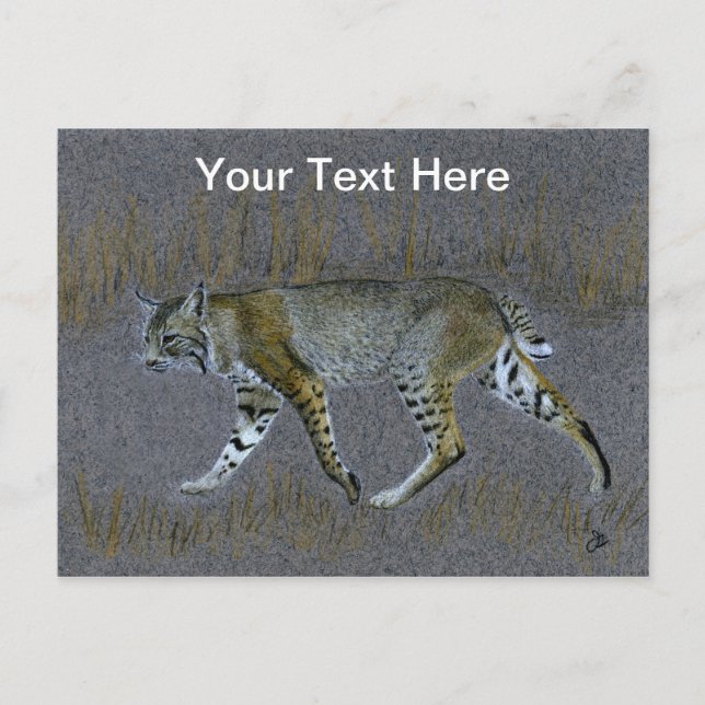 Carte Postale Bobcat (Devant)