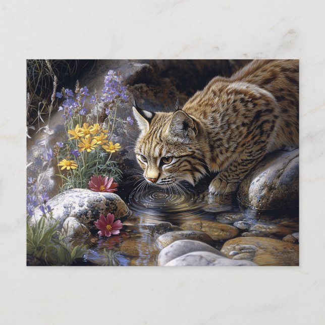 Carte Postale Bobcat avec art Pittoresque Fleur sauvage (Devant)