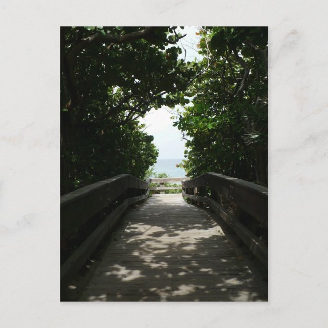 Carte Postale Boca Beach Boardwalk (Devant)