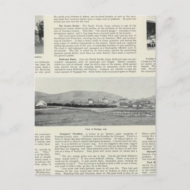 Carte Postale Bodega, Californie (Devant)