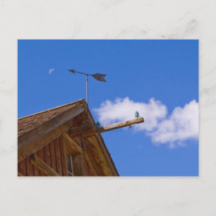 Carte postale Bodie Ghost Town Point The Way