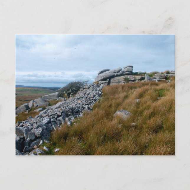 Carte Postale Bodmin Moor Cornwall Angleterre (Devant)