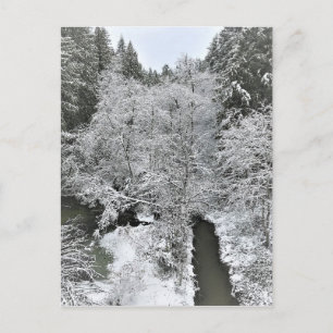 Carte Postale Boeckman Creek en hiver, Oregon