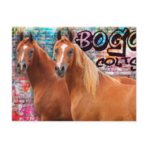 BOGO Colts - Graffiti Post Card - Chevaux arabes
