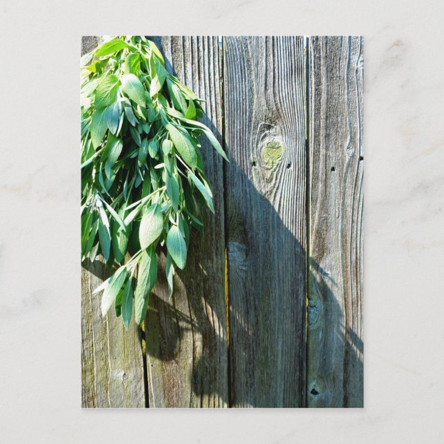 Carte Postale Boho botanical herb leaves rustic Barn-wood  (Devant)