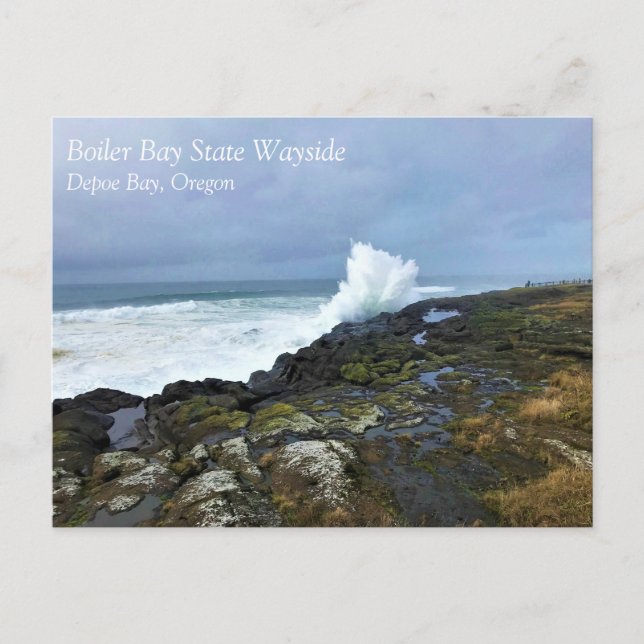 Carte Postale Boiler Bay State Wayside, Depoe Bay, Oregon Postca (Devant)