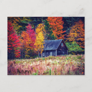 Carte postale Bois Automne