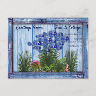 Carte Postale Bois bleu vintage, Poisson, corail rose