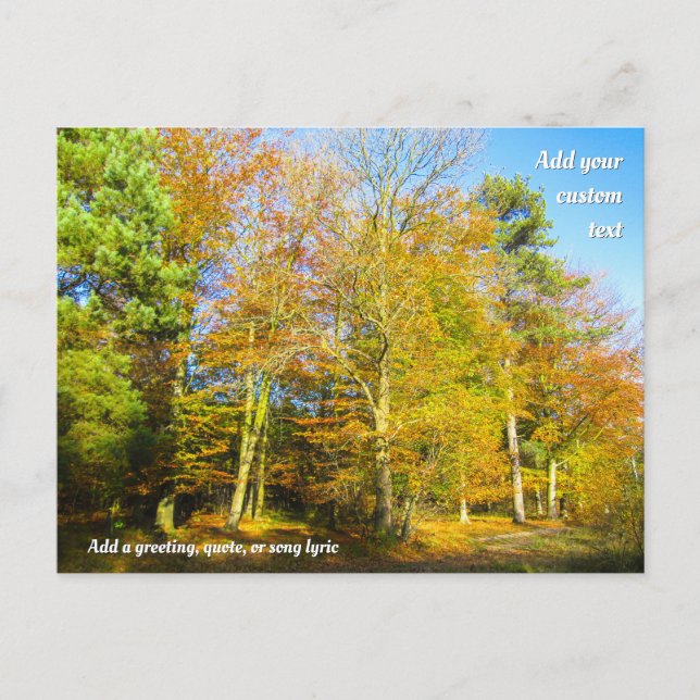 Carte Postale Bois d'automne et soleil - Personnalisé (Devant)