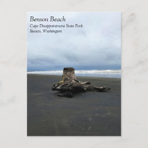 Carte Postale Bois de chauffe à Benson Beach, Cape Disnomination