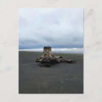 Bois de chauffe à Benson Beach, Cape Disnomination