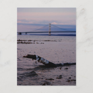 Carte Postale Bois de chauffe dans le lac Michigan