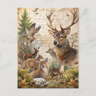Carte Postale Bois de forêt vintage Cerf Feuillage d'automne Ant