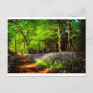 Carte Postale Bois de Jacinthe des bois