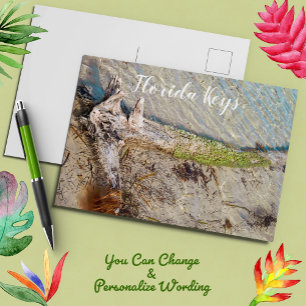 Carte Postale Bois D'Épreuve Sur Florida Keys Beach