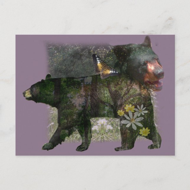 Carte Postale Bois d'ours noir à l'intérieur (Devant)