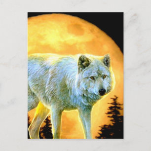 Carte Postale bois forêt lune lumière lune loup de lune