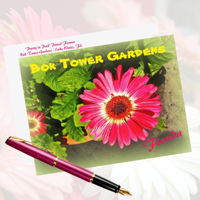 Carte Postale Bois rose Fleur Tower Gardens Lake Wales Floride (Créateur téléchargé)