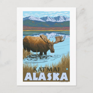 Carte Postale Boisson d'orignal au lac - Katmai, Alaska