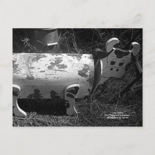 Carte Postale Boîte aux lettres