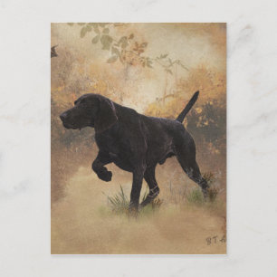 Carte Postale Boîte cadeau German Shorthaired Pointer prêt à cha