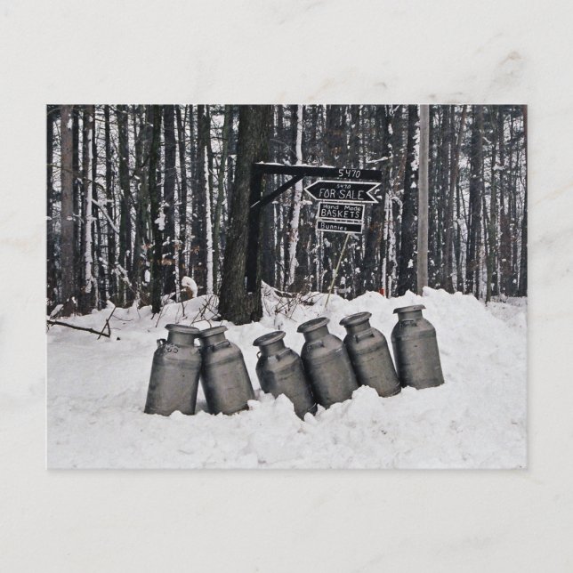 Carte Postale Boîte-Carte postale amish de lait (Devant)