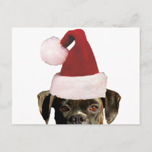 Carte postale boîte de Noël