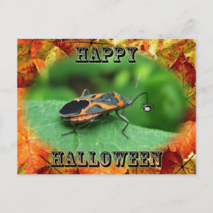 Carte Postale Boîte d'Halloween Elder Bug Coordonner les élément