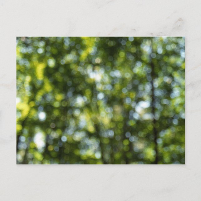 Carte Postale Bokeh au printemps (Devant)