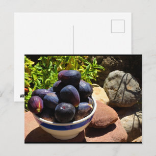 Carte Postale Bol de fruits de figue sur pierre