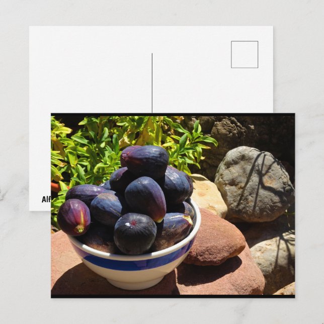 Carte Postale Bol de fruits de figue sur pierre (Devant / Derrière)