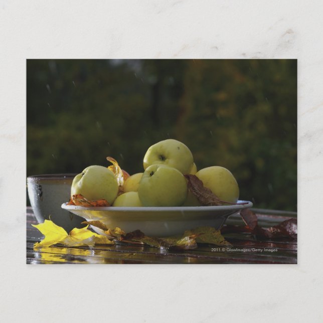 Carte Postale Bol de pommes et de feuilles (Devant)