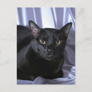 Carte Postale Bombay