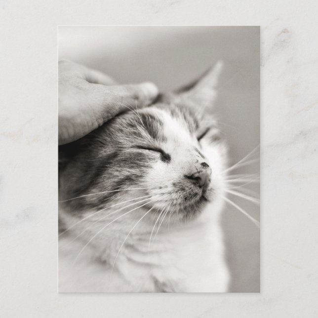 Carte Postale Bon chou ! -Carte postale (Devant)