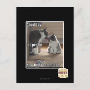 Carte Postale Bon garçon