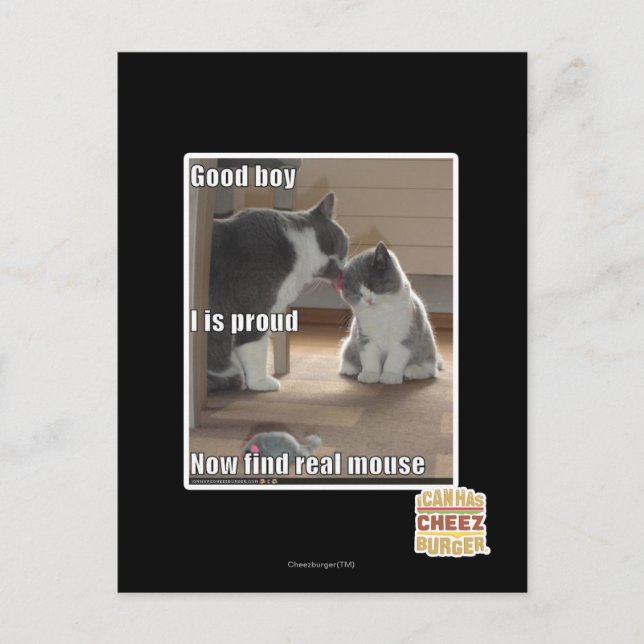 Carte Postale Bon garçon (Devant)