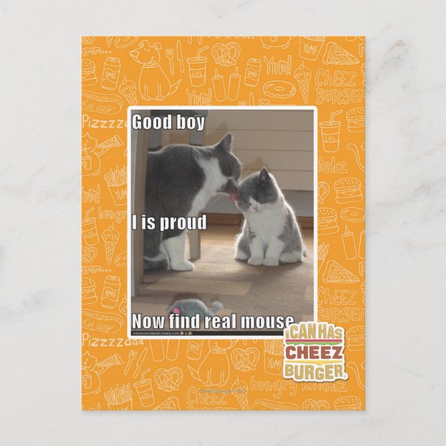 Carte Postale Bon garçon (Devant)