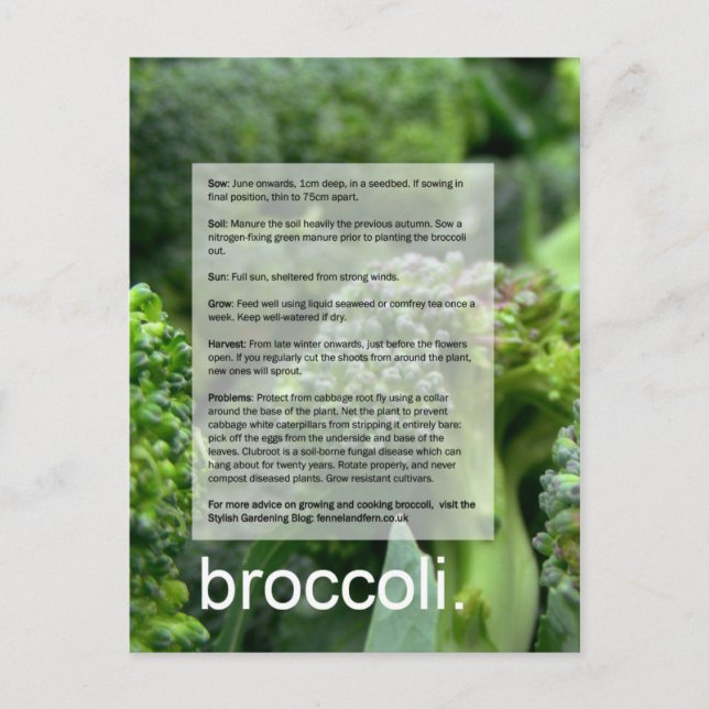 Carte Postale Bon guide de croissance : Brocoli et radis (Devant)