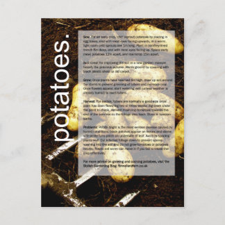 Carte Postale Bon guide de croissance : Pommes de terre et carot