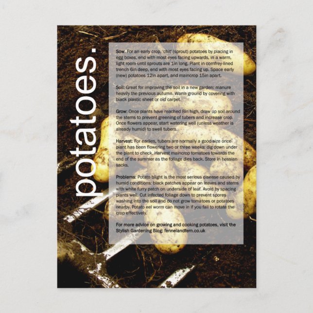 Carte Postale Bon guide de croissance : Pommes de terre et carot (Devant)