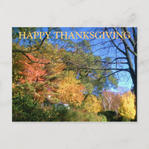Carte postale bon thanksgiving FALL