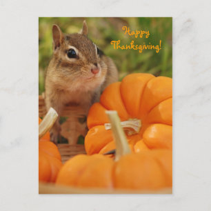 Carte postale bon thanksgiving Little Chipmunk