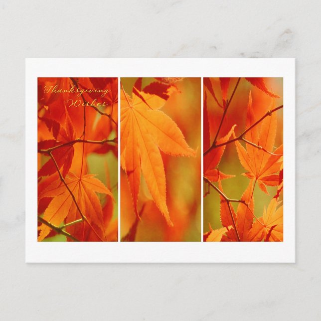 Carte postale Bon thanksgiving Trio Folio Automne (Devant)