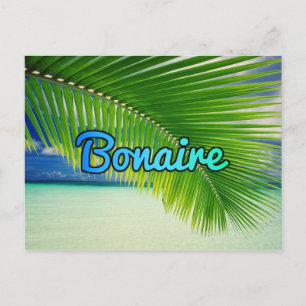 Carte Postale Bonaire