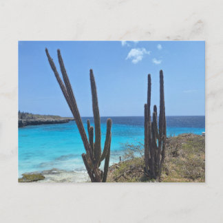 Carte Postale Bonaire vue sur la mer