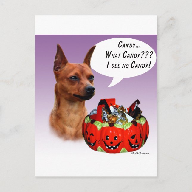 Carte Postale Bonbons d'Halloween Pinscher Miniature (Devant)